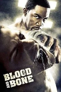 Download Blood and Bone (2009) Dual Audio (Hindi-English) 480p [300MB] || 720p [1GB]