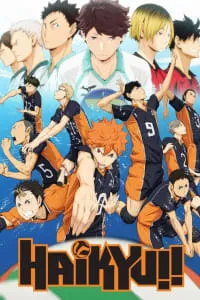 Download Haikyu!! (Season 1-4) Dual Audio (Hindi-Japanese) Esubs Web-Dl 480p [80MB] || 720p [140MB] || 1080p [470MB]