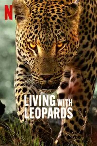 Download Living with Leopards (2024) {English With Subtitles} WEB-DL 480p [210MB] || 720p [570MB] || 1080p [1.3GB]