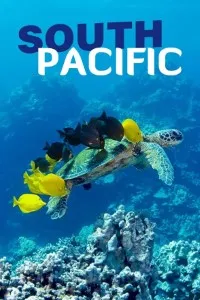 Download South Pacific (Season 1) Dual Audio (Hindi-English) WeB-DL 720p [400MB] || 1080p [1.6GB]