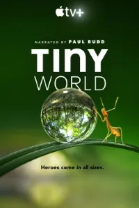 Download Tiny World (Season 1-2) {English With Hindi Subtitles} WeB-DL 720p [250MB] || 1080p [2.3GB]