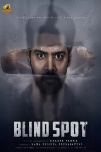 Download Blind Spot (2025) Dual Audio (Hindi-Telugu) Movie WEB-DL || 480p [400MB] || 720p [850MB] || 1080p [1.9GB]
