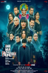 Download Haan Main Pagal Haan (2025) Punjabi Movie WEB-DL || 480p [400MB] || 720p [1GB] || 1080p [2.3GB]